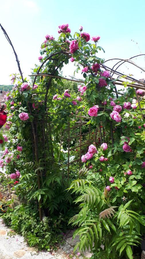 Le Jardin Des Merveilles Saint-Pierre-d'Autils エクステリア 写真